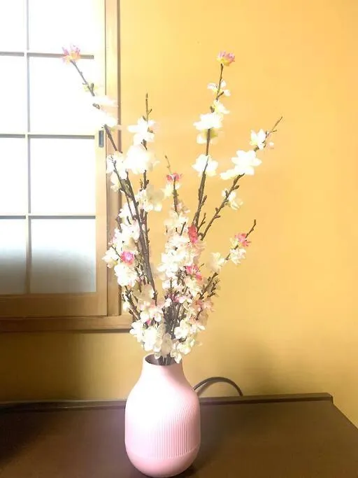 Tokyo Kd House 301 Apartamento 0*,